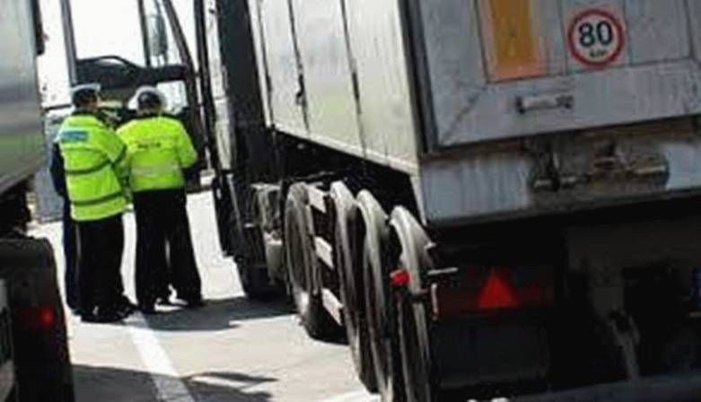 truckandbus.jpg