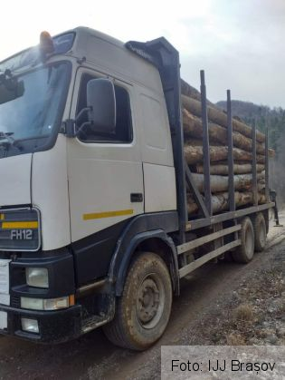 De ce nu intră și copacii în „CARANTINĂ”, în România?!... 1 FB_IMG_1583611154288_278637.jpg