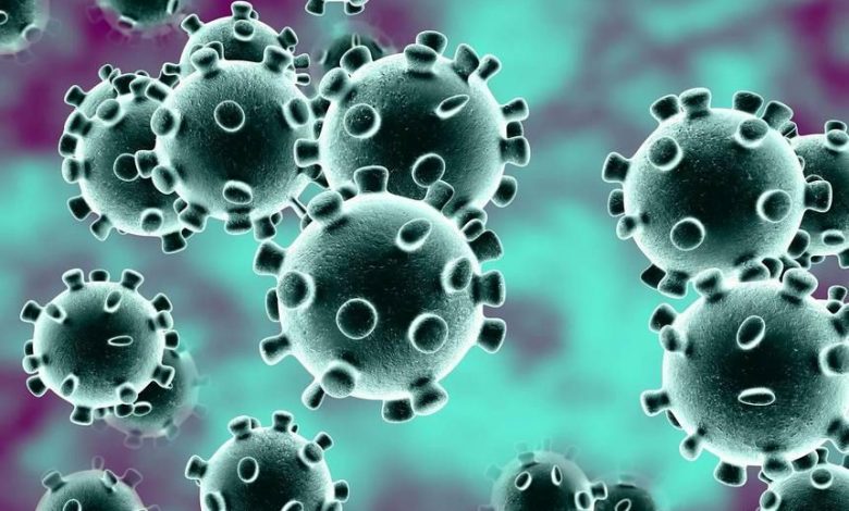 coronavirus_28.jpg