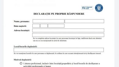 declaraie1.jpg