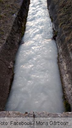 BRAŞOV. POLUARE?! Apa Canalului Timiş, albă ca laptele (FOTO) 1 raul timis 2_278572.jpg