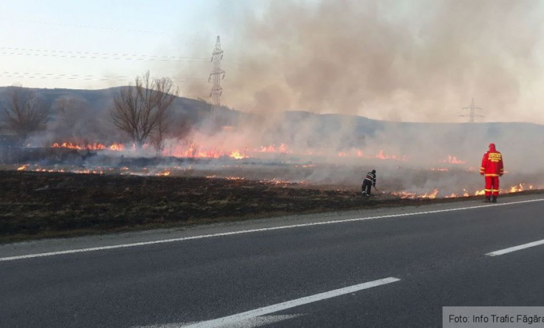 ISU BRAȘOV: Amenzi de până la 50.000 de lei, pentru arderea miriștilor și a vegetației / În ce situații 1 whatsappimage2020-03-17at19-26-23.jpeg