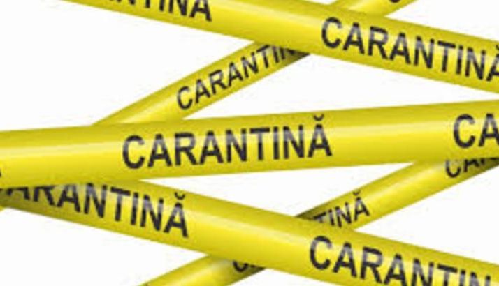 carantina_5.jpg
