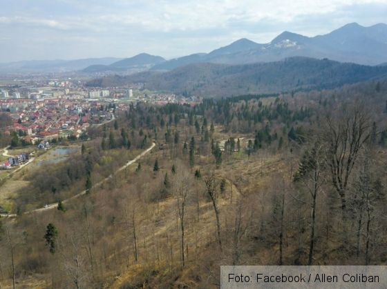 Senatorul brașovean Allen Coliban: „Drujbele nu dorm în pandemia de la Brașov” / Ce se întâmplă cu pădurea din Noua?! (Galerie FOTO) 1 taieri noua 2_279627.jpg