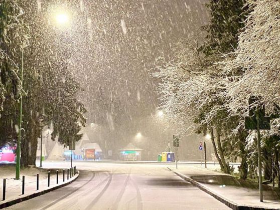 Meteo Brașov & România. Urmează ploi, iar apoi ninsori abundente și vânt puternic 3 zapada1_279850.jpg