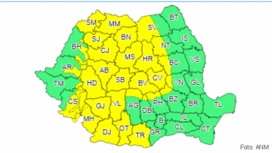 anm 1_280385.png