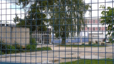 codela1.png