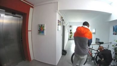 furt-bicicleta_2.jpg