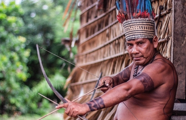 CORONAVIRUS. Cum se tratează indigenii din pădurea amazoniană?!... 1 sateremawe.png