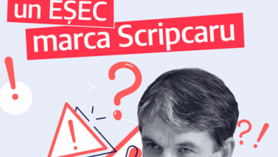 scripcaru_5.png
