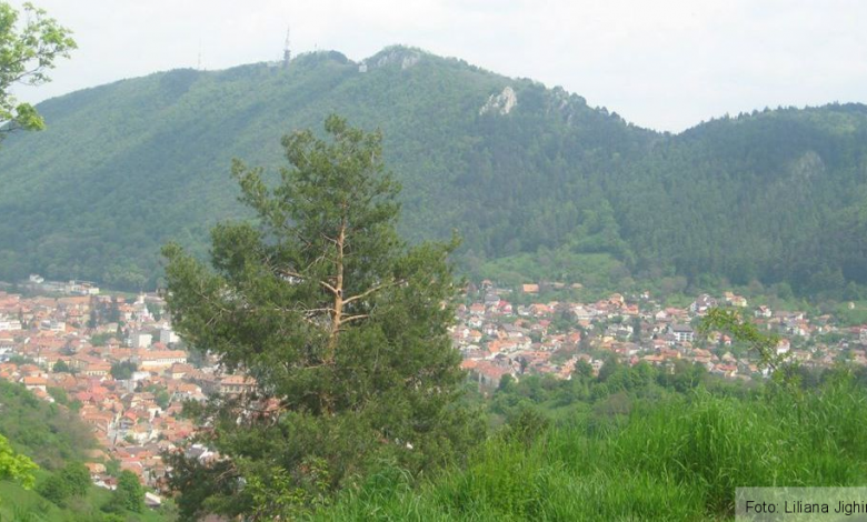 brasov-de-la-belvedere1.jpg