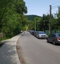 dambu morii_281003.jpg