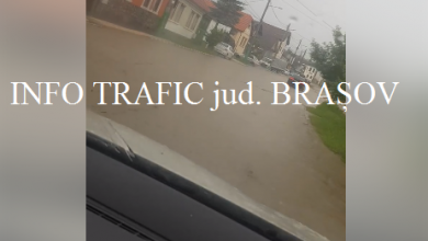 sacele_2.png