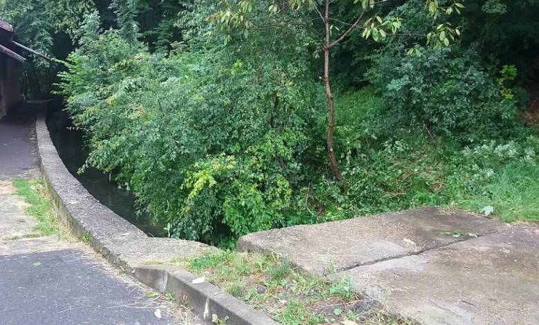 BRAȘOV. UPDATE. DUHOAREA A RĂMAS! În ciuda asigurărilor celor de la Primărie... 1 canal1.png