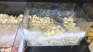 congelate.jpg