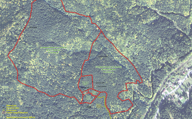 În zona Brașovului, Regia Pădurilor Kronstadt va înființa un centru de reabilitare a urșilor din România 1 ursi_4.png