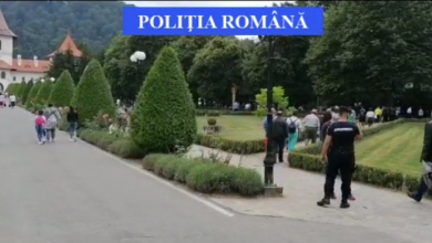 controale 4_282566.png