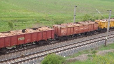 lemne-tren1.jpg