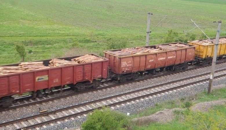 lemne-tren1.jpg