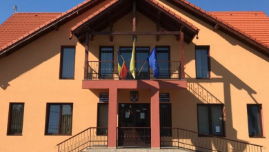 primariasanpetru.jpg