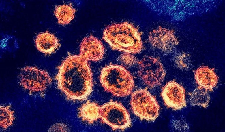 BRAȘOV. 11 decese, în două zile, din rândul pacienților infectați cu SARS-CoV-2 1 ncidenta-cazurilor-covid-19.jpg