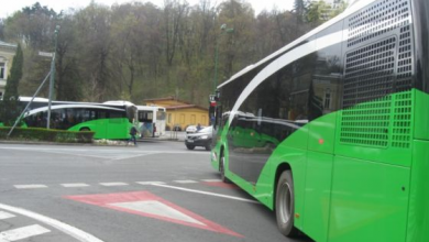 autobuze-Livada (9)_266669.JPG