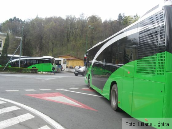 autobuze-Livada (9)_266669.JPG