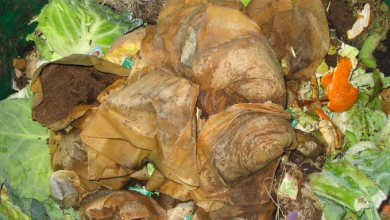 compost.png