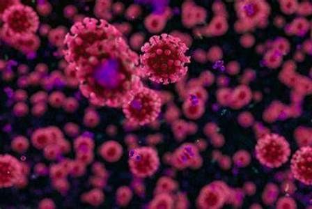 COVID-19 BRAȘOV. Alți cinci pacienți infectați au decedat / Sunt și aproape 500 de vindecați 1 covid_15.jpg