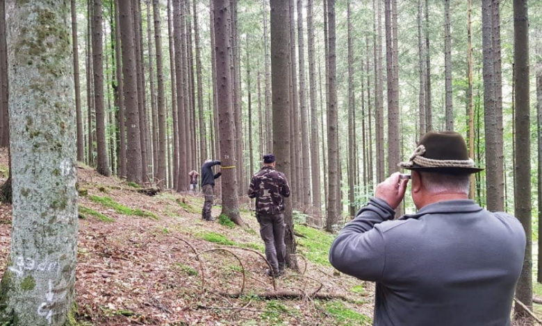 Starea de sănătate a Pădurilor Brașovului, în suprafață de 14.616 hectare, administrate de Regia Publică Locală a Pădurilor Kronstadt RA, este monitorizată până la cele mai mici detalii 1 kronstadt_2.png