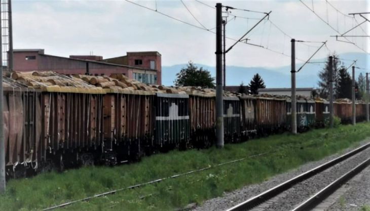 Încă un tren cu lemne, fără acte, confiscat de Garda Forestieră BRAȘOV 1 tren-lemne2_283162.jpg