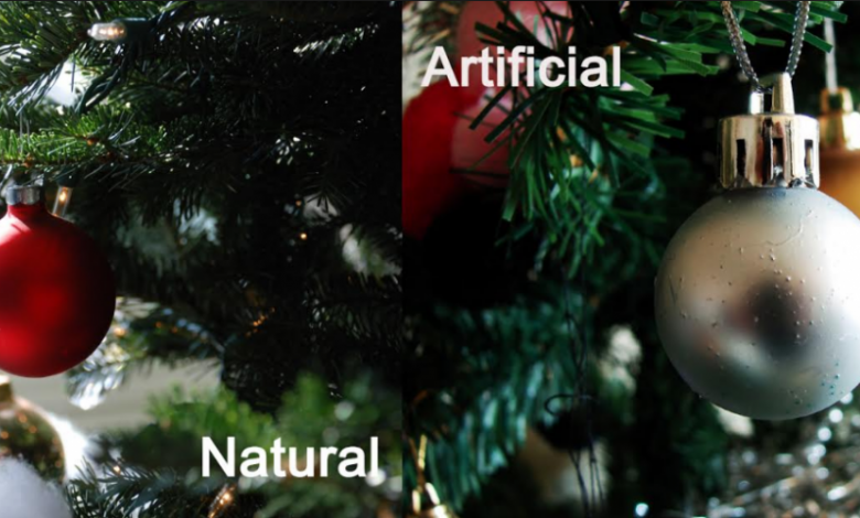 Brad natural sau din plastic? Care e alegerea cu adevărat eco? 1 brad_2.png