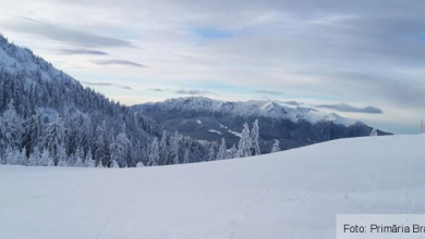 IMG-20210114-WA0018_285760.jpg