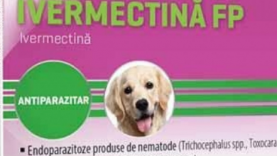 ivermectina.png