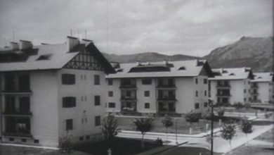 rosu_6.jpg