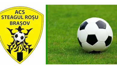 acssteagulrosu.png