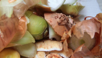 compost_2.png