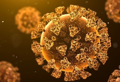 CORONAVIRUS BRAȘOV. 20 de decese în ultima săptămână / A scăzut presiunea pe ATI 1 covid_24.jpg