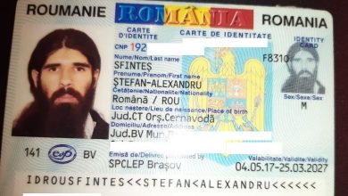 stefan-alexandru-sfintes.jpeg