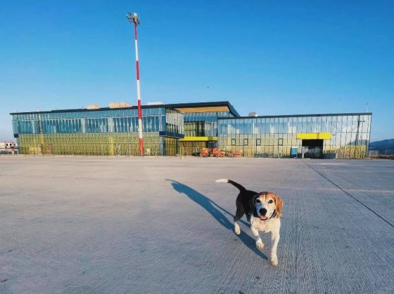 BRAȘOV. Vizită neanunțată pe Aeroport! „Inspectorul” a fost uimit (GALERIE FOTO) 1 Max-aeroport2_287226.jpg
