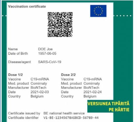 certificat_286971.JPG