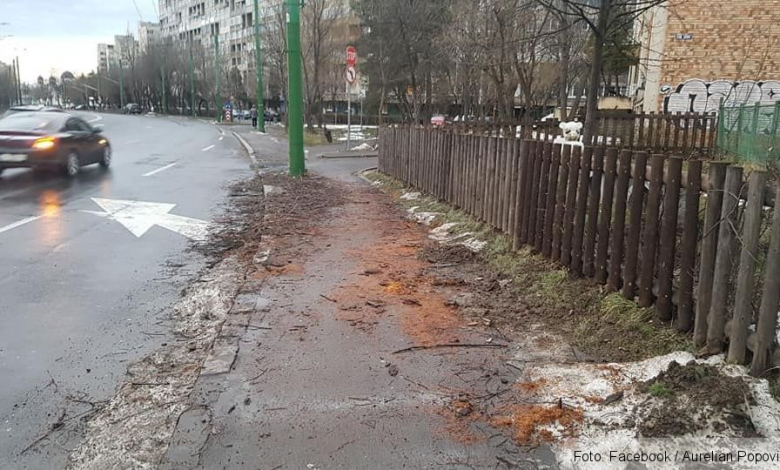 Primarul Coliban, discuții cu Comprest și Braicata, după ce brașovenii s-au plâns de mizeria din oraș / Ce măsuri se vor lua 1 mizerie_2.jpg