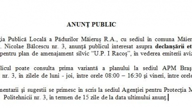 anunt_2.png