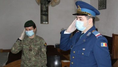 tarlungenidudazoltan2.jpg