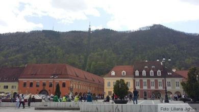 20210502-140354.jpg
