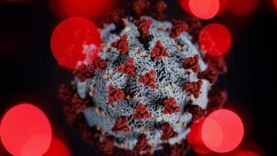 coronavirus2_6.jpg