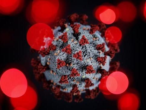 CORONAVIRUS BRAȘOV. Noi decizii ale CJSU 1 coronavirus2_6.jpg