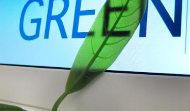 green.png