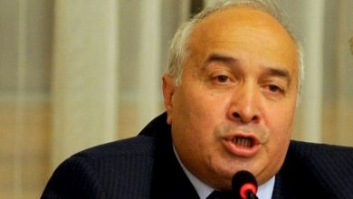 radulescu_7.jpg