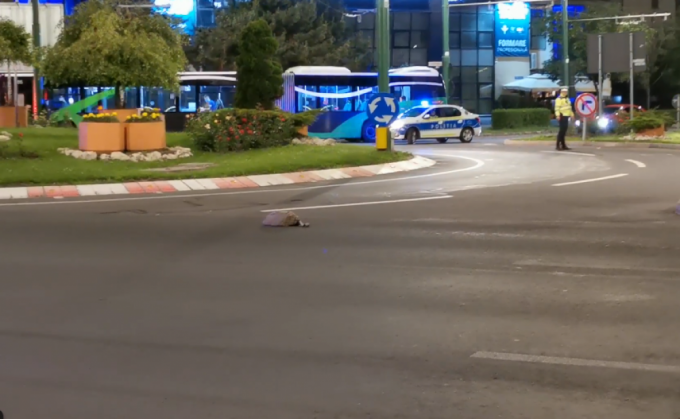 Update. BRAȘOV. Exercițiu de amploare în miez de noapte, lângă AFI 1 dezamorsare2_289069.png